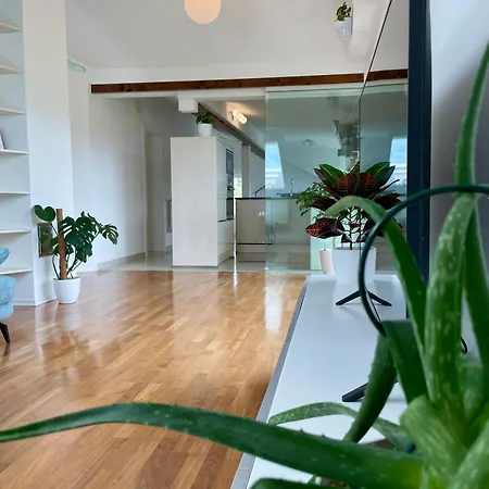 Moderne Oase Mit Panorama-blick Apartment
